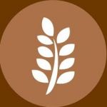 The Source Bulk Foods Floreat